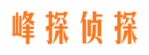 山阴市婚外情调查